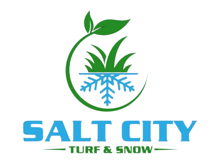 Salt City Turf & Snow